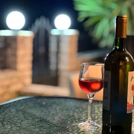 Apartment Harry's Apartmet Lefkada City